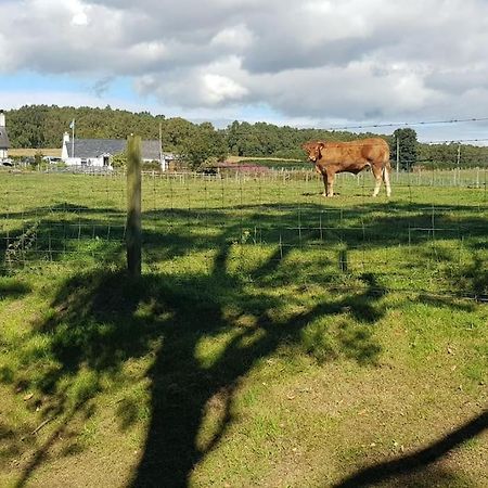 Cosy 2 Bedroom Croft Cottage With Beautiful Views North Kessock Eksteriør billede