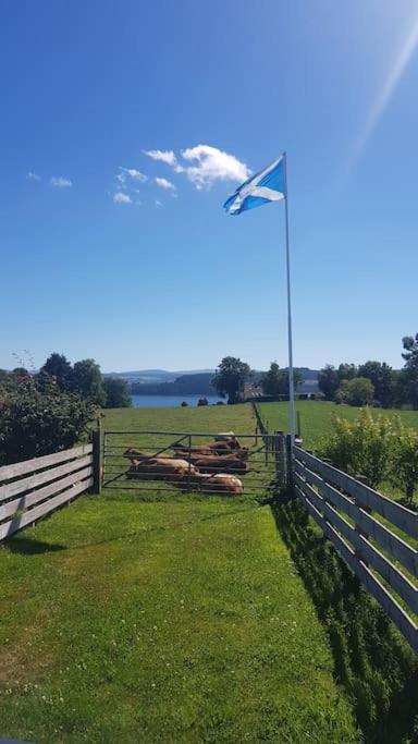 Cosy 2 Bedroom Croft Cottage With Beautiful Views North Kessock Eksteriør billede