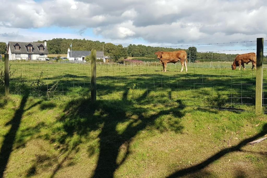 Cosy 2 Bedroom Croft Cottage With Beautiful Views North Kessock Eksteriør billede